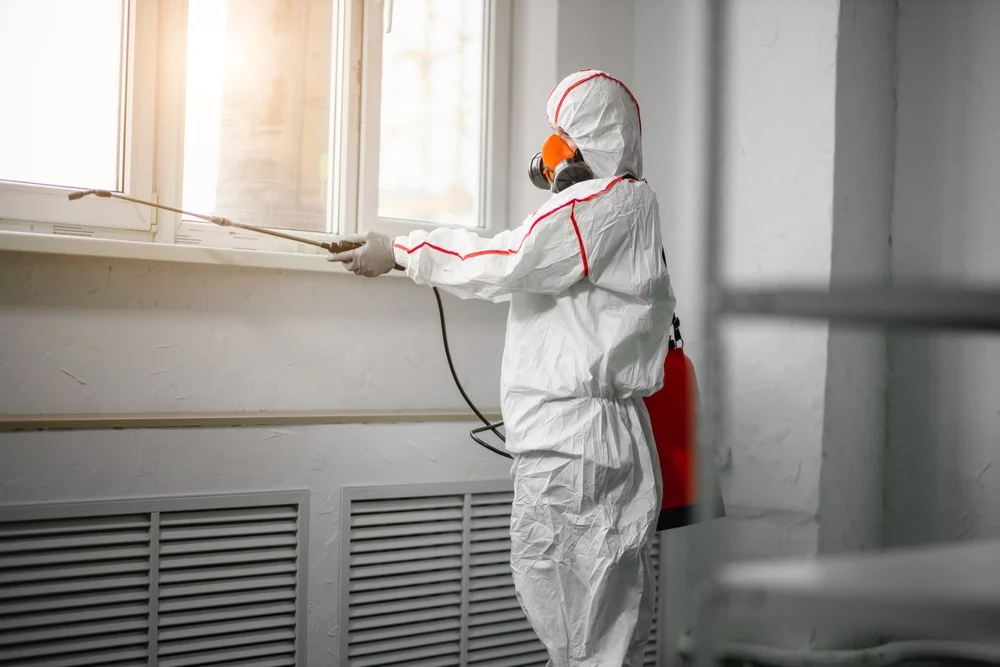 Professional mold remediation services in Baltimore, OH